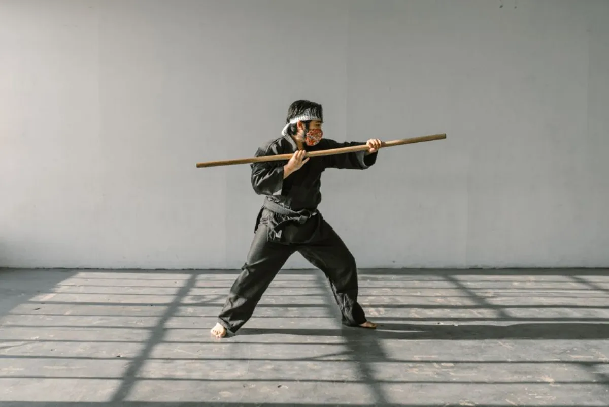 martial arts cinema